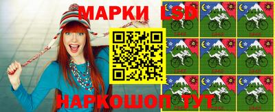 стаф Берёзовский