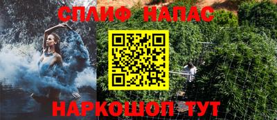 стаф Берёзовский