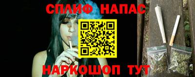 стаф Берёзовский