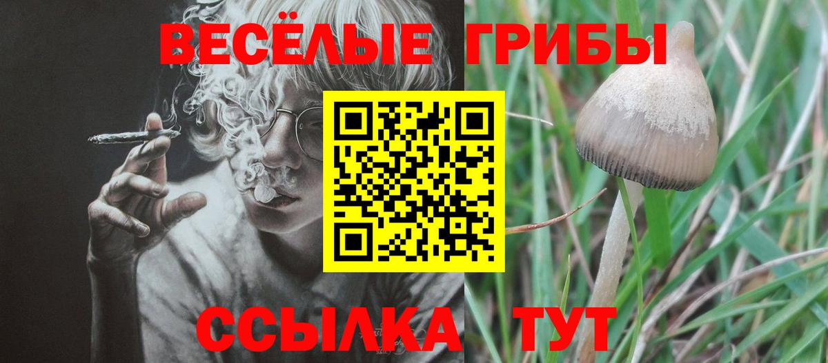 Псилоцибиновые грибы Magic Shrooms  Вход с VPN  магазин продажи наркотиков  Кольчугино 